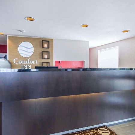 Comfort Inn East Sudbury Zewnętrze zdjęcie